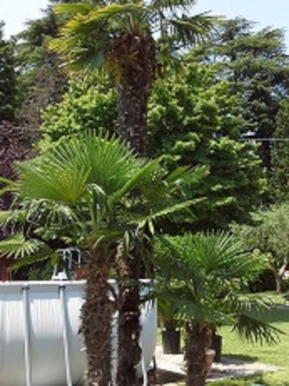 Relais Villa Lezard Lazise Ruang foto